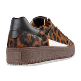 foxa - leopard