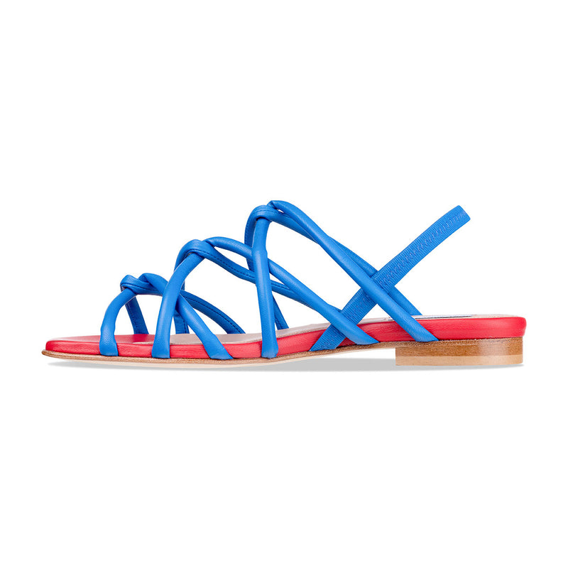 asti - blue red