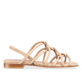 asti - camel