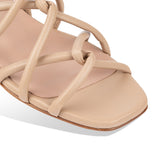 asti - camel