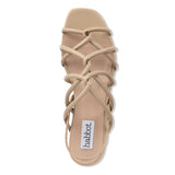 asti - camel
