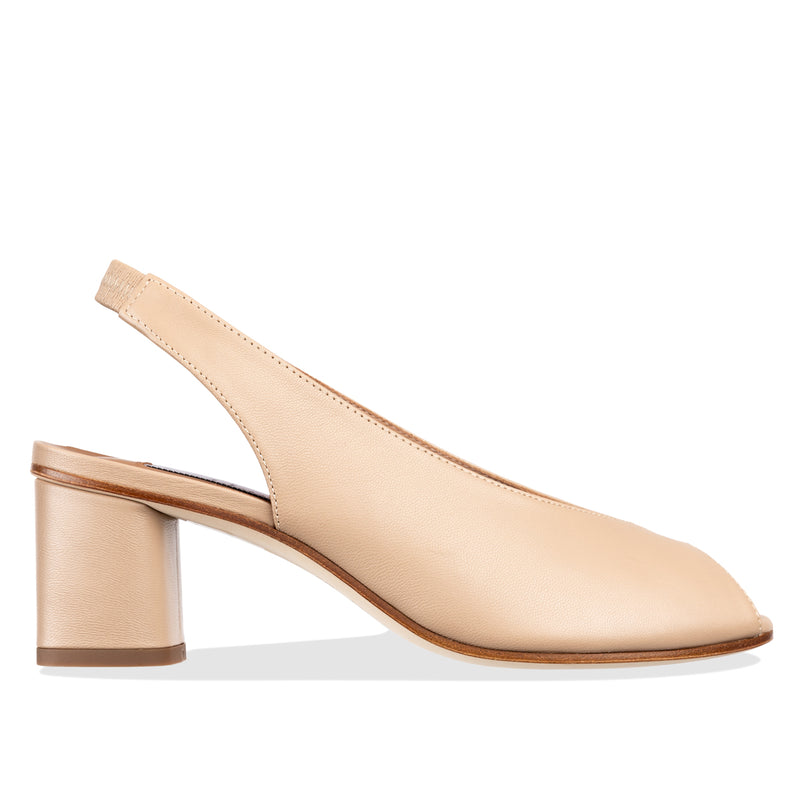 brolo - camel