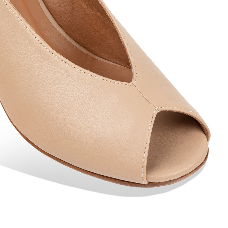 brolo - camel