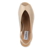 brolo - camel