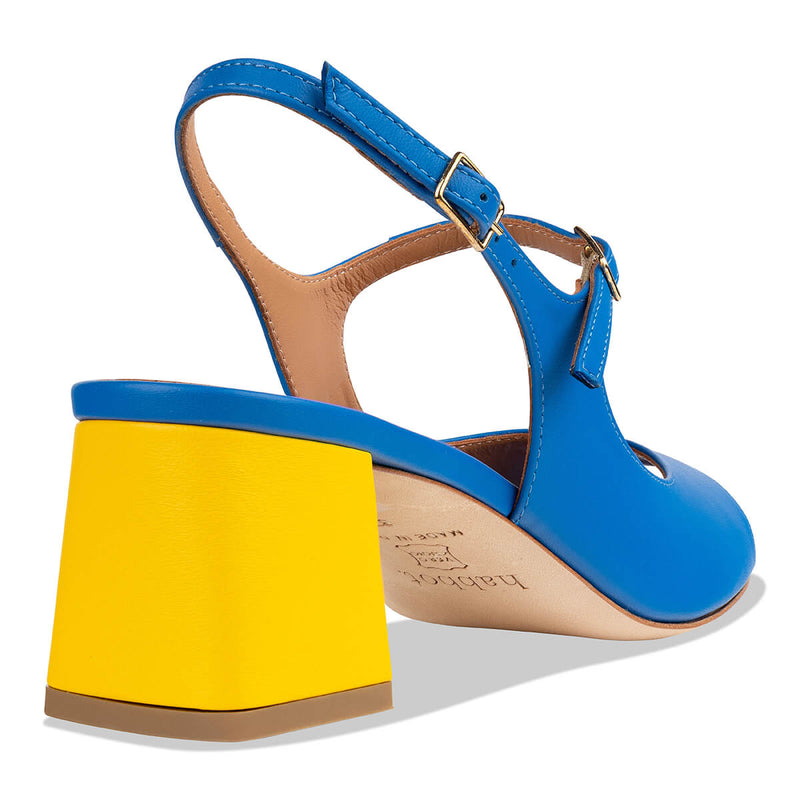 camelie - blue yellow