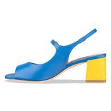camelie - blue yellow