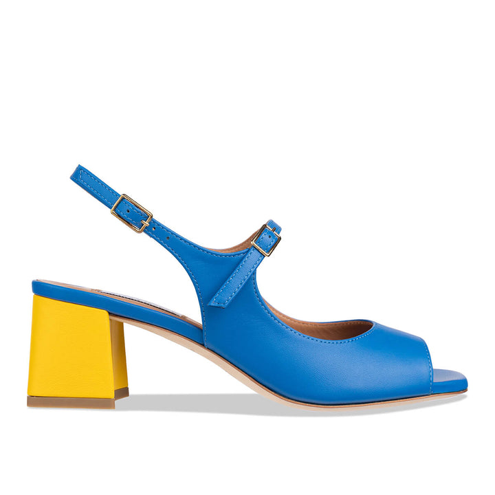 camelie - blue yellow