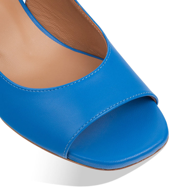 camelie - blue yellow