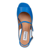 camelie - blue yellow