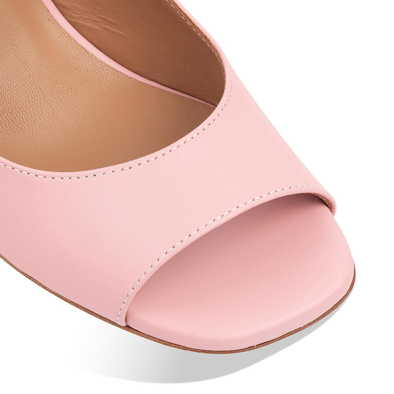 camelie - pink red