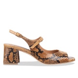 camelie - snake