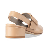 canda - camel