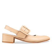 canda - camel
