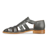 favia - olive