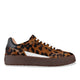 foxa - leopard