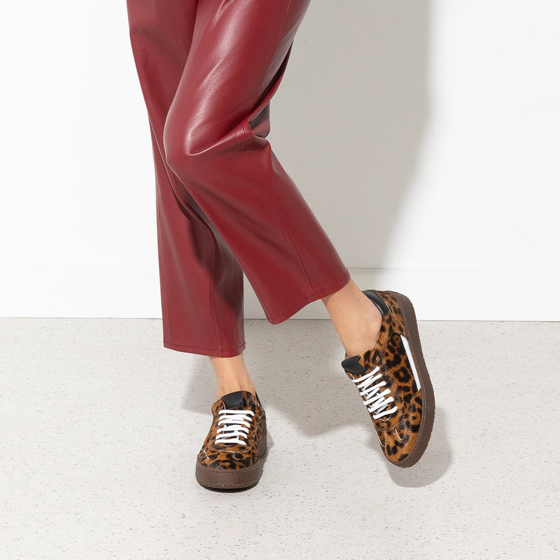 foxa - leopard