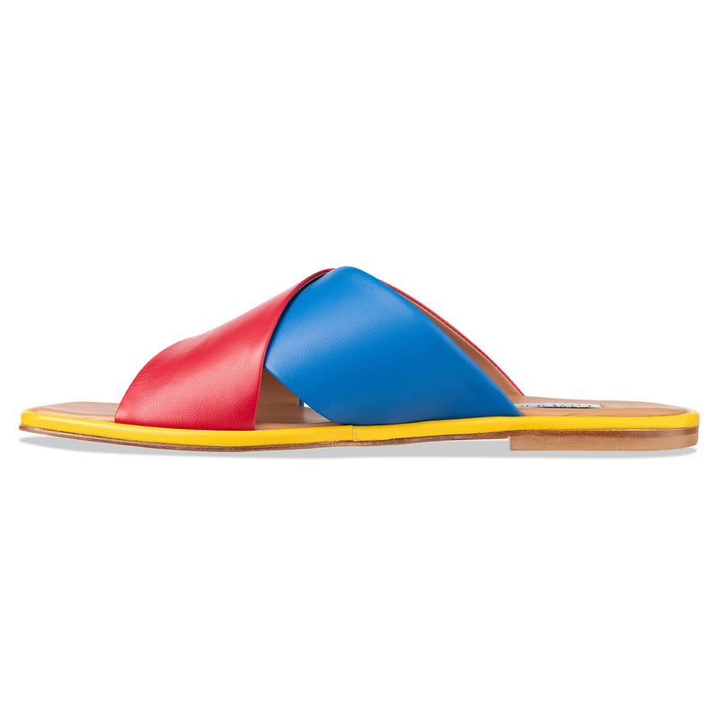 lecci - red blue