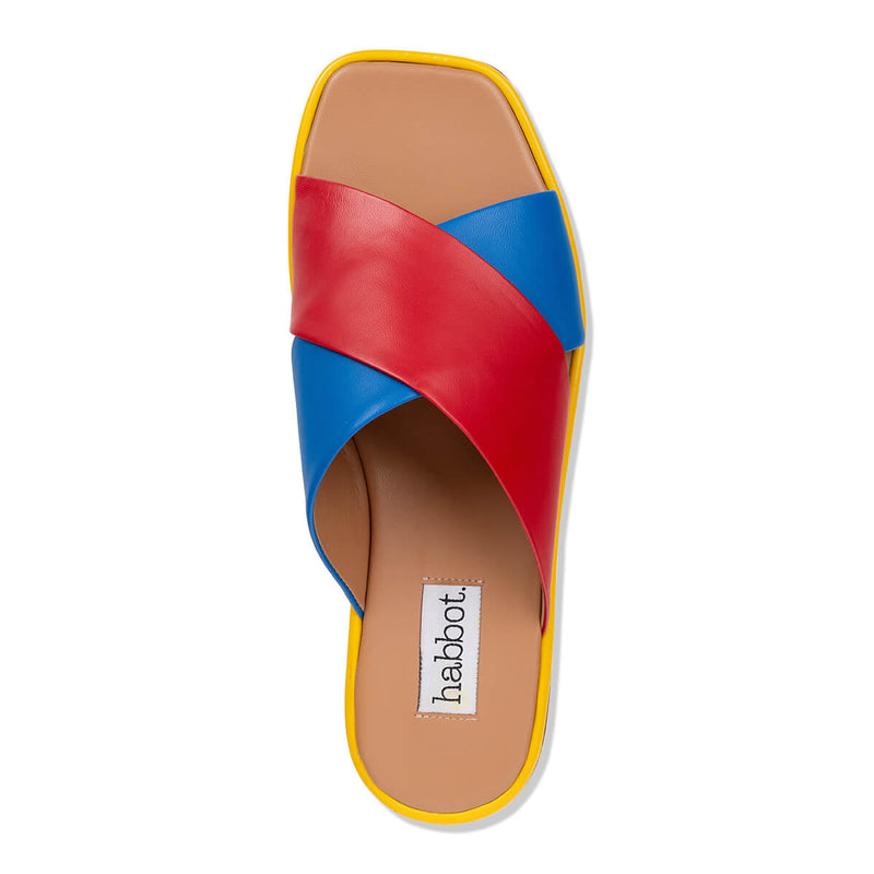 lecci - red blue