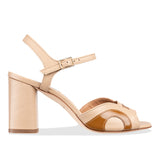 lino - camel