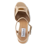 lino - camel