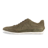 tavenna - olive