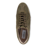tavenna - olive