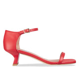 terna - red