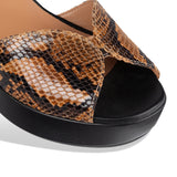 zonto - snake