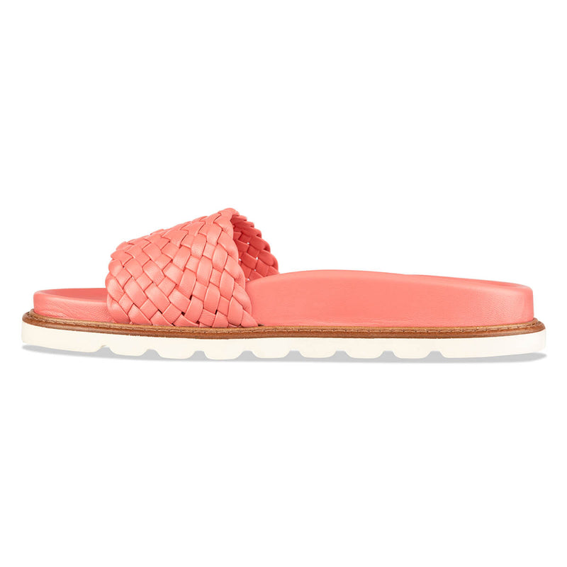 cocco - rose