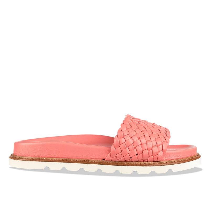 cocco - rose