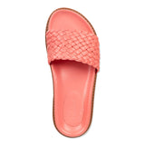 cocco - rose