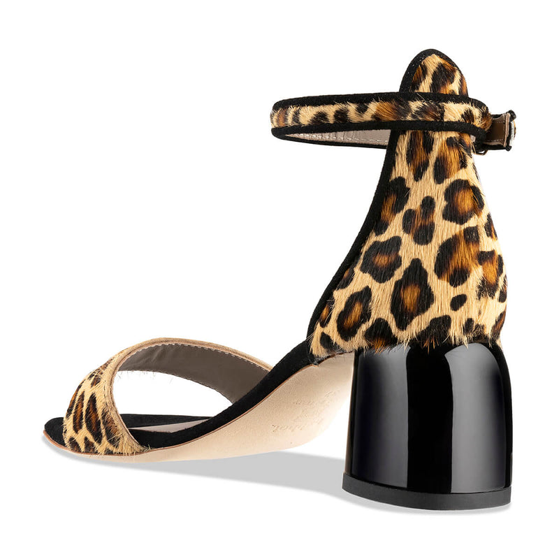 quico - leopard