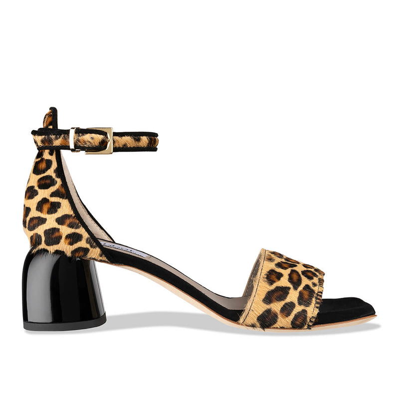 quico - leopard