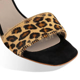 quico - leopard