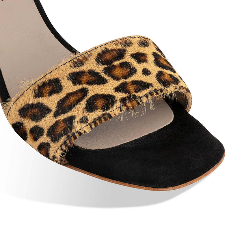 quico - leopard