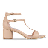 ulisse - camel