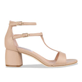 ulisse - camel